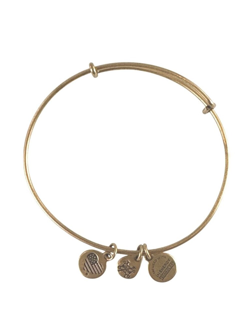 Alex & Ani 2018 Gold Tone Charm Bangle Bracelet • Coquette Whimsigoth Indie